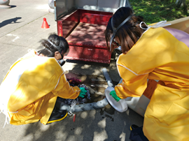 猫穿着衣服 AI 生成的内容可能不正确。